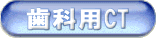 ���ȗpCT