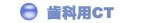 ���ȗpCT