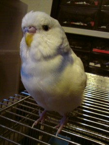 20110508181544