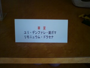20110725144228
