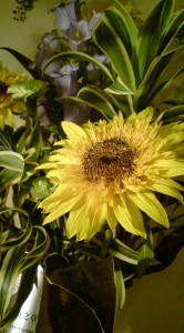 20120529181442
