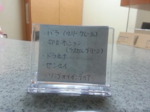 20130128_202758
