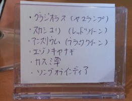 20130226_145354