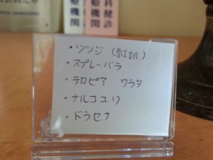 20130415_140640