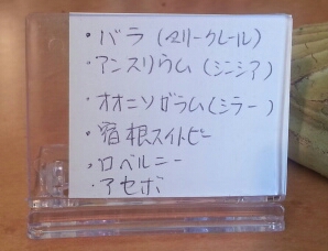 20130422_143641-1