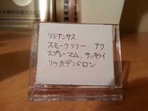 20130603_203736