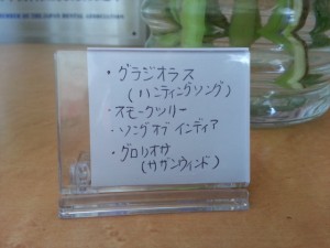 20130617_141120