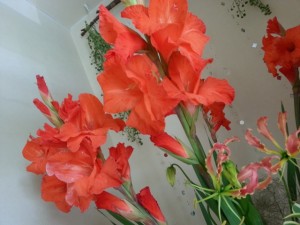 20130617_141128