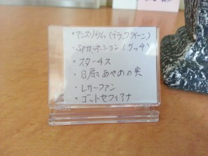 20130903_141518