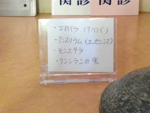 20130924_170319