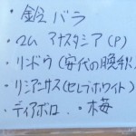 20130930_140544
