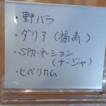 20131105_153915