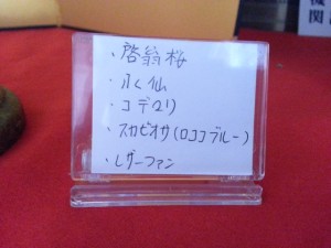 20140121_132550