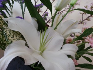 20140324_130911