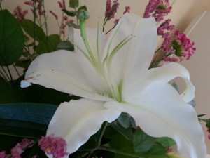 20140728_164245