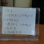 20140902_135425