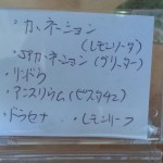 20140930_130648