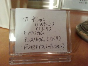 20141117_182456