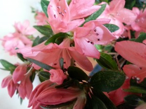 20150406_141008