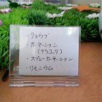 20150511_131419