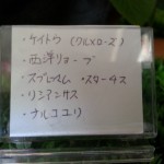 20150722_135919