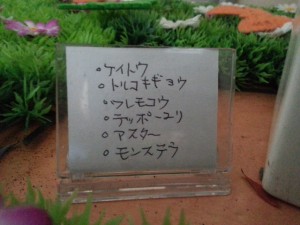 20150831_135206