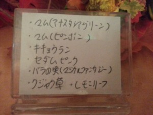 20150915_212443