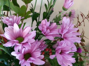 20151026_143953