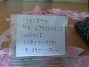20160328_140304