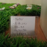 20160418_174940