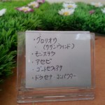 20160425_144404