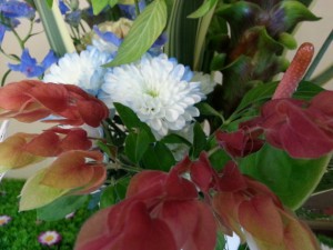 20160531_171859