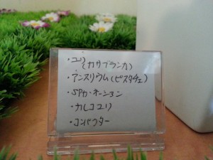 20160613_130910