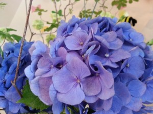 20160620_142532