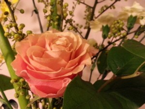 20170123_174315